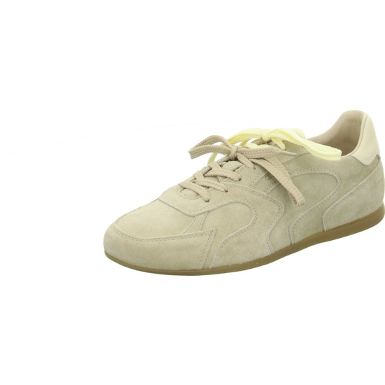 Gant Sneaker sand-beige