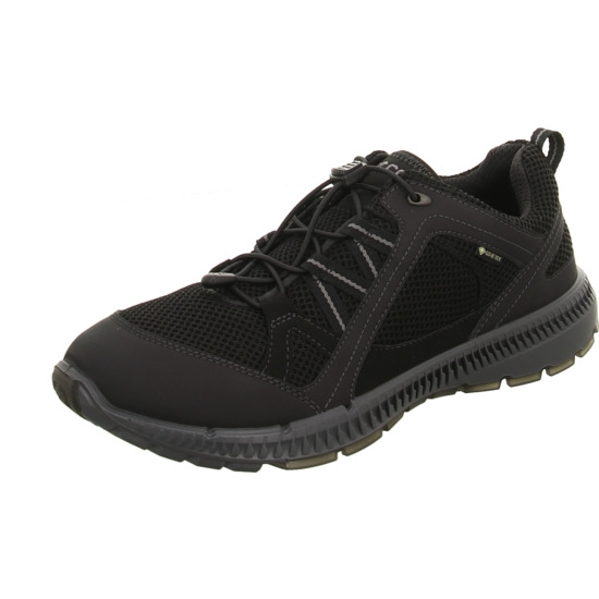 ecco Sneaker black