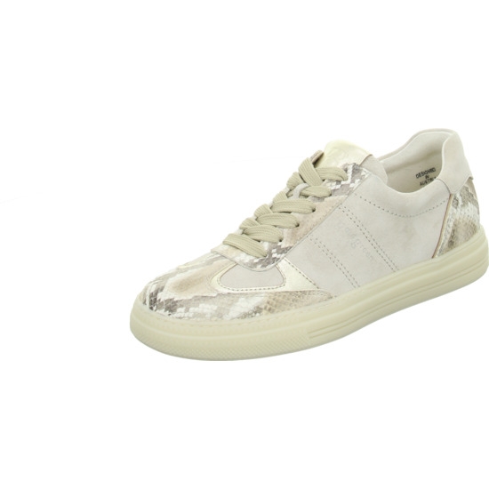 Paul Green Sneaker biscuit-shell